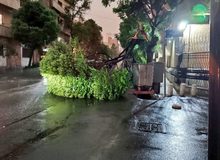 اورژانس: از هفتم تا پانزدهم اردیبهشت، ۸۶ نفر در اثر وزش شدید باد و رعد و برق دچار مصدومیت شده‌اند؛ از این تعداد ۹ نفر فوت کرده‌اند