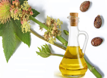 گیاهان دارویی مفید در سلولیت