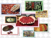 سوغات شهر مشهد در تور مشهد