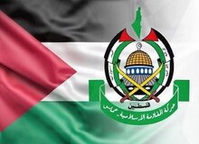 حماس از دریافت طرح جدید ویتکاف خبر داد
