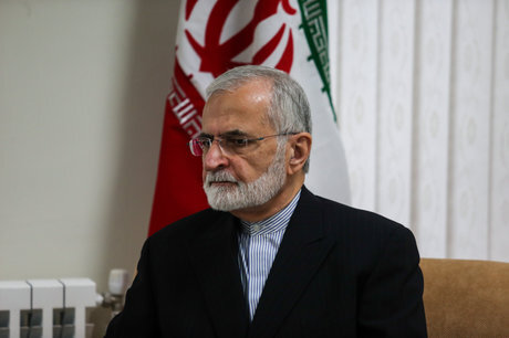 کمال خرازی: ایران همواره خواهان برقراری امنیت و ثبات در منطقه بوده است

