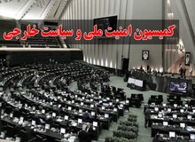 دبیر دوم کمیسیون امنیت ملی خطاب به امیر عبدالهیان: مذاکرات هسته ای محرمانه و غیر قابل ارائه به همسایگان است