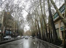 ۱۷۹ درخت در خیابان ولی عصر به عنوان درختان خشک ثبت شده‌اند؛ این درختان به مرور قطع می‌شوند