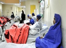حمله گرگ ها به یک منزل مسکونی در خوی؛ حال دو نفر وخیم است