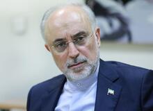 علی اکبر صالحی: به دروغ گفته بودند زن فرانسوی دارم