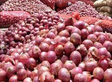 سلطان "پیاز" محکوم شد/ محکومیت میلیاردی قاچاقچی پیاز