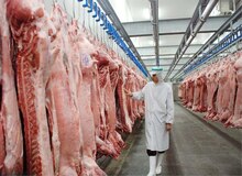 عضو هیات رئیسه کمیسیون کشاورزی: واردات گوشت قرمز پس از محدود شدن پرواز هواپیماهای اروپایی دچاز نوسان شده است