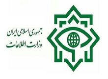  وزارت اطلاعات: اراذل و اوباش را بازداشت کردیم