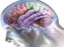 تسلط بر دو زبان و تاخیر در بروز زوال عقل

