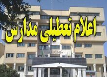 مسعود ثقفی، سخنگوی اموزش و پرورش شهر تهران خبر داد:همه مدارس شهر تهران تا آخر هفته تعطیل است
