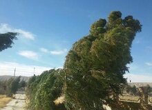 تداوم بارش‌ها و وزش باد شدید در نوار شمالی کشور