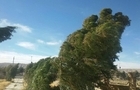 تداوم بارش‌ها و وزش باد شدید در نوار شمالی کشور