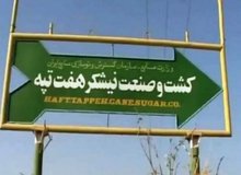 فرماندار شوش: پیگیر بازگشت ۲۰ کارگر اخراج‌شده نیشکر هفت‌تپه هستیم
