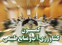 انتخاب اعضای کمیسیون تلفیق در کمیسیون کشاورزی به هفته آینده موکول شد