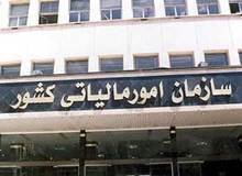 جزییات شناسایی یک شبکه تبانی مالیاتی