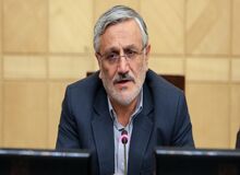 میرزایی نیکو:نمایندگان مجلس یازدهم بی سواد هستند / نمایندگان خودشان متوجه نشدند چه چیزی را رد کردند