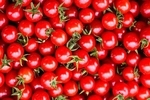 صادرات گوجه فرنگی و پیاز آزاد شد