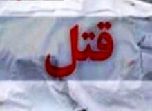 قاتلی که مقتول را حیوان دید