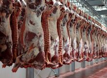 آشفته‌ بازار گوشت/ جهش بیش از ۵۰۰هزارتومانی قیمت گوشت گوساله 