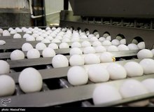  درخواست افزایش ۱۰ هزار تومانی قیمت تخم مرغ از دولت
