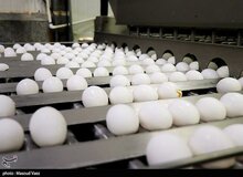  درخواست افزایش ۱۰ هزار تومانی قیمت تخم مرغ از دولت
