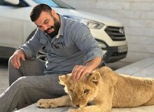 امیرعلی اکبری توله شیر را به محیط زیست تحویل نداده است 