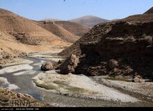 امـسال جـانوران هم تـشنه می‌مانند
