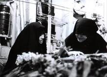 یک روایت از لحظه شهادت مصطفی چمران در جبهه دهلاویه 