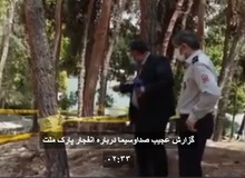 صداوسیما کلاً منکر حادثه در پارک ملت شد/ کدام کار کثیف تر است؟/FILM