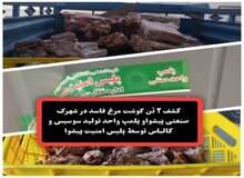 کشف ۲ تُن گوشت مرغ فاسد در کارگاه تولید سوسیس و کالباس پیشوا