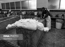 شهر مشهد از لحاظ تعداد فوتی کرونا در مرز سه رقمی شدن است