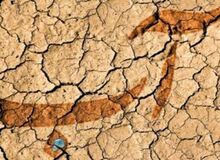 تنش آبی در ۲۴ استان/ «تهران آبی» در پیشانی شهرهای پرتنش