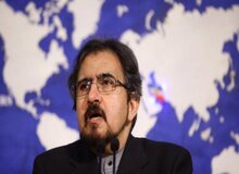 توضیحات قاسمی درباره بازداشت استاد ایرانی در دانمارک
