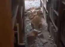 خطیب‌زاده، معاون عراقچی: اسرائیل حمله‌ای عمدی به یکی از ساختمان‌های وزارت امور خارجه انجام داد