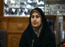 سمیه محمودی: استیضاح ۵ وزیر مطرح است/ فاطمی امین و عبدالملکی در اولویتند