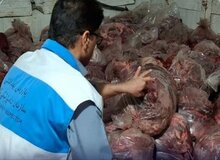 توقیف ۱۵۰۰ کیلوگرم گوشت مخلوط اسب و گاو در اهواز