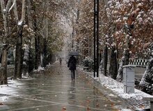 بارش برف و باران در تهران از شنبه/ کاهش دما تا ۶ درجه