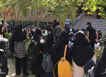 ارگان مطبوعاتی شهرداری تهران: ولخرجی در به‌کار بردن شعار‌های تند و آشکار جنسی در دانشگاه‌ها موجب برانگیخته شدن خشم جامعه ولایی شده