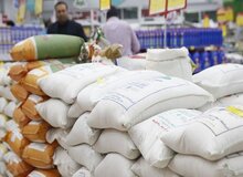 برنج در آینده چقدر گران خواهدشد؟/ برنج ۳۰۰ هزار تومانی هم آرزو می‌شود؟!