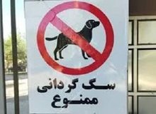 ارگان مطبوعاتی نزدیک به شهرداری: اجرای قانون ممنوعیت سگ گردانی، مردم را قانون شکن می کند؛ آن را اجرا نکنید/ قابلیت اجرا ندارد، رهایش می کنید
