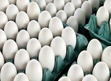 تخم مرغ در ۵ روز  دو بار گران شد