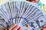 قیمت جدید دلار، یورو و سایر ارزها امروز ۲۹ تیرماه ۱۴۰۵/ دلار بالاخره به کانال ۱۸۰ هزار تومان برگشت + جدول