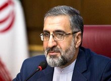 توضیحات سخنگوی قوه قضاییه درباره دستگیری نوشین جعفری