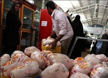 دستگیری سه نفر برای خارج کردن مرغ از آزادشهر گلستان
