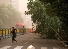 وزش باد شدید از امشب در تهران