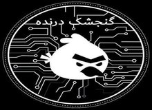 سومین حمله موفق گنجشک‌های درنده در دو سال/ درباره گروه "گنجشک‌های درنده" بیشتر بدانید