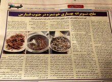 خرید و فروش پر رونق ملخ در جنوب/ بازار حشره در اروپا، حاشیه خلیج‌فارس، عراق و ارمنستان داغ است
