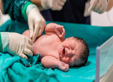 مسئله جمعیت و فرزندآوری فقط با اقتصاد و بودجه حل نمی‌شود