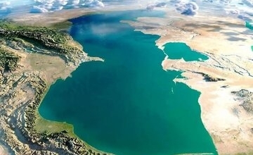 هشدار پژوهشگران درباره شکوفایی جلبکی در دریای خزر / افت شدید اکسیژن و تهدید حیات کف‌زیان