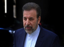 واعظی: سخنان ظریف، موضع دولت است
